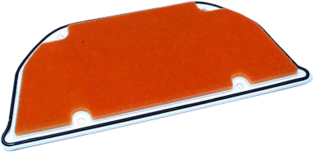 HIFLOFILTRO Air Filter — HFA2905
