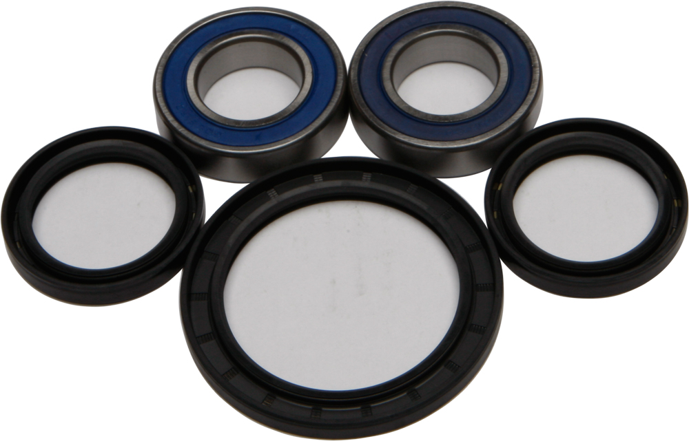 ALL BALLS Wheel Bearing Kit — 25-1584